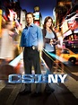 CSI: Nueva York - Serie 2004 - SensaCine.com
