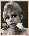 EDIE SEDGWICK 60's Warhol Factory Tragic Superstar 8 - Etsy UK