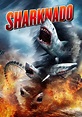Horror Marathon Day 5: Sharknado | Salazar Entertainment