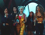 [Review] 'Birds of Prey' Is An Explosive & Colorful Joyride. | Central ...