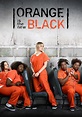 Serie Orange Is the New Black: Sinopsis, Opiniones y mucho más ...