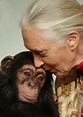 Jane Goodall, la luchadora incansable por los derechos de los animales ...