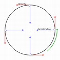 File:Circular motion velocity and acceleration.svg - Wikipedia