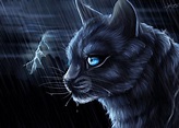 Warrior Cats Wallpaper Bluestar ·① WallpaperTag