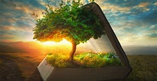How 3 Biblical Trees Reveal the Wonder of Salvation - Explore the Bible