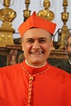 Chi è Mauro Gambetti: tutto sul cardinale