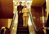 Movie Lovers Reviews: The Hangover (2009) - What Happens in Vegas....