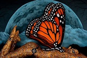 Monarch by Craig Tracy (With images) | Craig tracy, Body painting, Skin ...