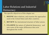 Labor Relations and Industrial Democracy