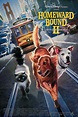 Homeward Bound II: Lost in San Francisco (Film, 1996) kopen op DVD of ...
