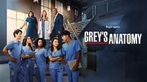 Grey's Anatomy é renovada para 20ª temporada; série terá nova showrunner