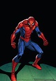 Spider-Man - Spider-Man Photo (38194465) - Fanpop