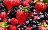 Berry prices fall across the board - FreshFruitPortal.com