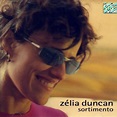 Zélia Duncan - Sortimento (2001, CD) | Discogs