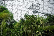 tropical rainforest vegetation inside a manmade bio-dome Stock Photo ...