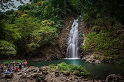Montezuma Falls in 2021 | Forest waterfall, Montezuma, Waterfall