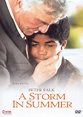 A Storm in Summer [DVD] [2000] - Best Buy