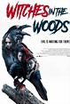 NEW CLIP: WITCHES IN THE WOODS - THE HORROR ENTERTAINMENT MAGAZINE