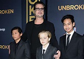 Brad Pitt logra la custodia compartida de sus hijos | People en Español