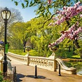 Things to Do in New York in Spring | Go City®
