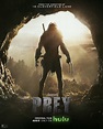 20th Century Studios Unveils New Prey Poster - Alien vs. Predator Galaxy