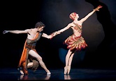 Australian Firebird. | Ballet costumes, Ballet beautiful, Ballet history