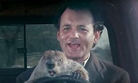 Groundhog Day Movie Wallpapers - Wallpaper Cave