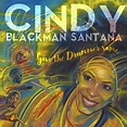 Give the Drummer Some by Cindy Blackman Santana (Album): Reviews ...
