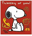 Pin by Patti Ruggieri on Things that make me smile! in 2020 | Snoopy ...