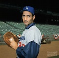 Baseball Player Sandy Koufax Photograph by Bettmann - Fine Art America