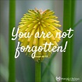 “You are not forgotten!” – Word For Life Says…