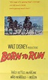 Born to Run Movie Streaming Online Watch