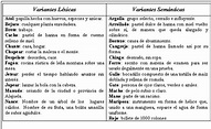 Nothing found for Academia Damore La Variacion Linguistica