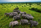 Queen Elizabeth National Park | Uganda Safari Destinations