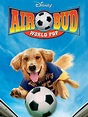 Air Bud 3 - World Pup - Movie Reviews