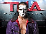 TNA Wrestling: Sting - Return of an Icon (2006)