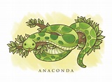 Ilustración de dibujos animados Anaconda 172801 Vector en Vecteezy