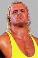 Curt Hennig Personality Type | Personality at Work