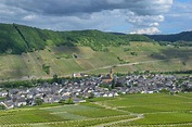Trittenheim Moselle Village - Free photo on Pixabay - Pixabay