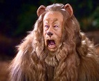 Lion - Cowardly Lion of Oz Photo (17649413) - Fanpop