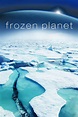Frozen Planet - Where to Watch and Stream - TV Guide