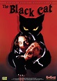 The Black Cat : bande annonce du film, séances, streaming, sortie, avis