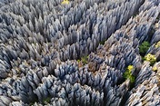 La fascinante riqueza natural de Madagascar en 10 imágenes