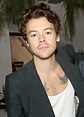 Harry Styles y los cortes de pelo que puedes llevar toda la vida | GQ ...