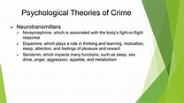 Theories of Criminal Behavior and Rehabilitation Overview