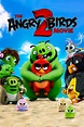 فيلم The Angry Birds Movie 2 2019 مترجم | سيما ناو - Cima Now