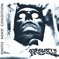 Trouble (Simple Mind Condition) Album Cover Poster - Lost Posters