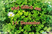 11. Dezember Bilder, Gästebuchbilder, GB Pics | 1gb.pics