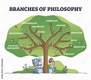 Branches of philosophy as knowledge study classification tree outline ...