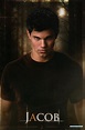 Jacob Black by Taylor Lautner in The Twilight Saga, 2008 Twilight Wolf ...